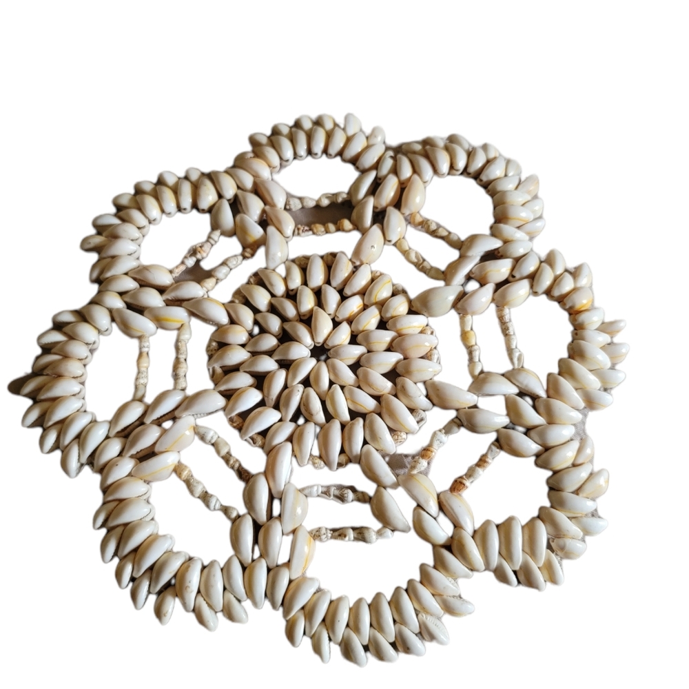 Vtg Large Retro Cowrie Shell